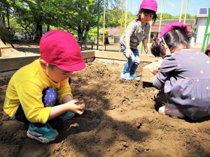 g砂場 (3)
