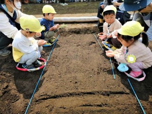 g種１ (10)