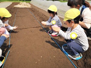 g種１ (5)