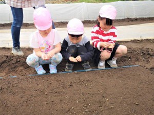 g種３ (10)