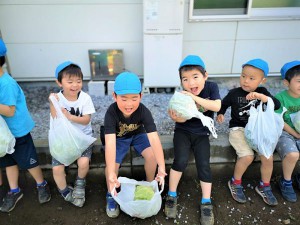 g長キャベツ (14)