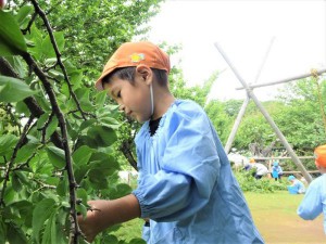 gDSC02255