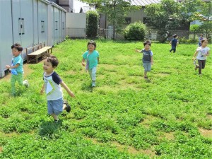 gしっぽ取り (6)