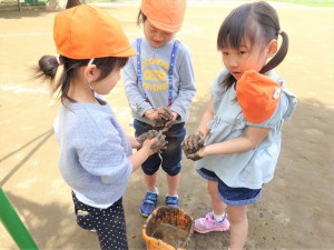 gだんご (1)