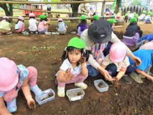 gだんご (3)