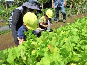 g大根１ (1)