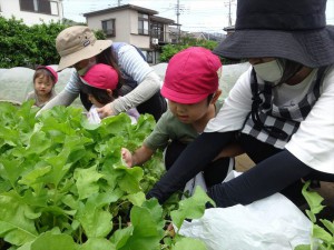 g大根２ (18)