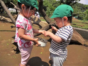 g戸外 (12)
