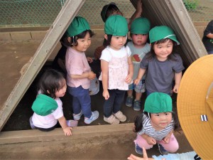 g戸外 (22)