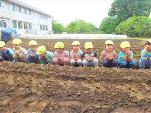 g苗植え１ (3)