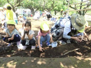 gおべんとう (3)