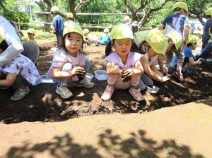 gおべんとう (4)
