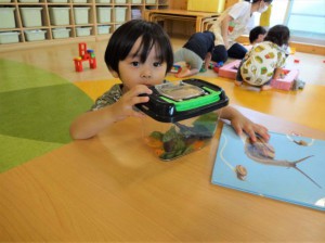 gかたつむりの観察 (11)