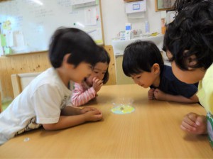 gかたつむりの観察 (2)