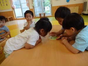 gかたつむりの観察 (5)