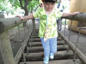 gゆらゆら橋 (3)