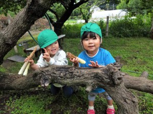 g竹の子 (5)