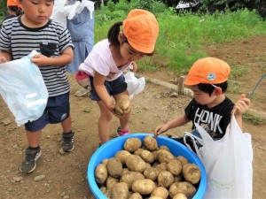 g長じゃがいも (10)