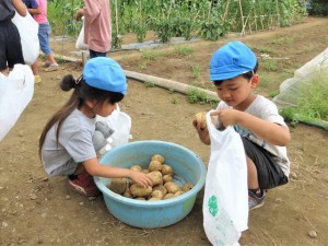 g長じゃがいも (11)