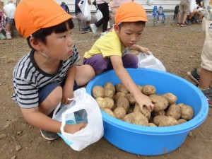 g長じゃがいも (13)