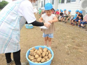 g長じゃがいも (6)