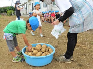 g長じゃがいも (7)