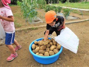 g長じゃがいも (8)