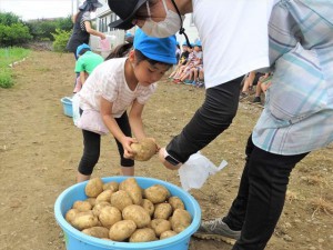 g長じゃがいも (9)