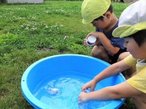 戸外など (3)