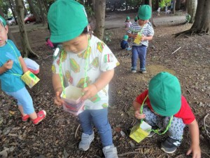 gあそび山 (7)