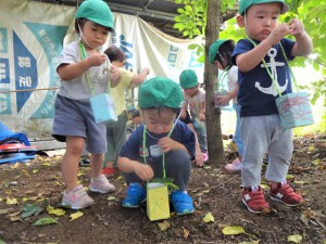 gどんぐり (5)