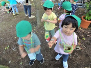 gどんぐり (6)