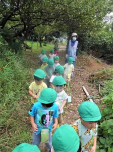 gどんぐり (9)