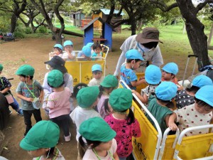 gめだか交流 (3)