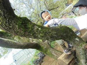 戸外あそび (11)