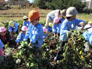 g蔓を運ぶ２ (2)