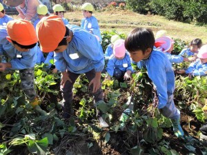 g蔓を運ぶ２ (3)