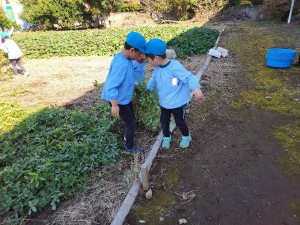 落花生１ (8)