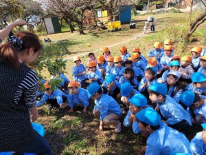 落花生３ (1)