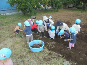 gいも (10)