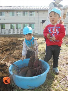 gいも (12)