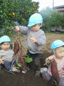 gいも (4)