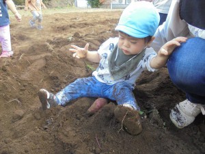 gいも (6)