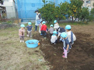 gいも (9)