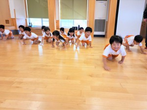 g少体育 (5)