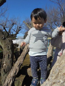 g戸外 (6)
