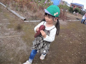 いも (16)