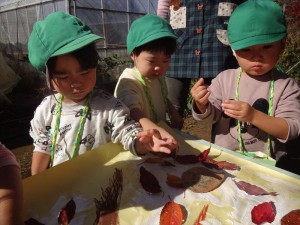 落ち葉２ (2)