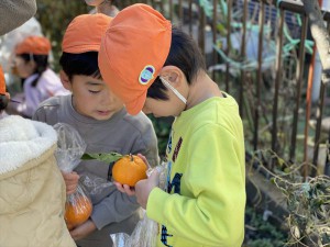 gみかん１ (10)