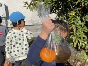 gみかん１ (25)
